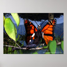 Monarch Fairy Poster
