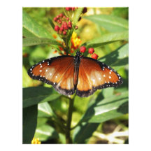 Monarch Letterhead Design