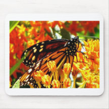 Monarch Madness.jpg Mouse Pads