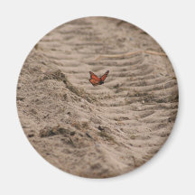 Monarch Magnet
