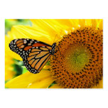 Monarch on a Sunflower ,Profile card business cards