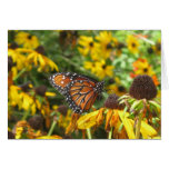 Monarch on Black Eyed Susie Greeting Card