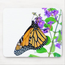 Monarch on Blossom Mouse Pads