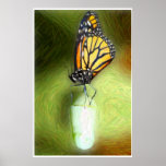 Monarch on Chrysalis Art Posters
