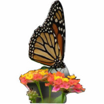 Monarch on Lantana Photo Sculpture
