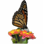 Monarch on Lantana Photo Sculpture photo sculptures