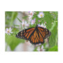 Monarch on Wild Asters Postcard