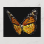Monarch Orange Butterfly Flying Insect Personalized Flyer