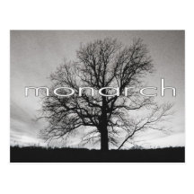 Monarch Platinum Postcard
