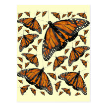 Monarch Rain Postcards