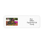 Monarch Twins #1-address label