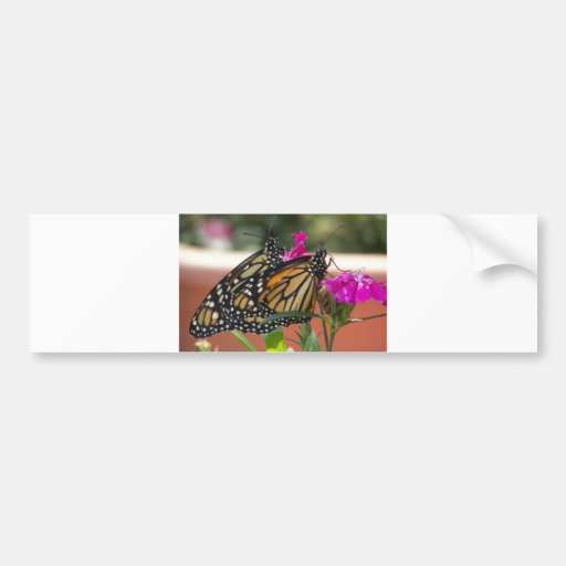 Monarch Twins #1-bumper sticker