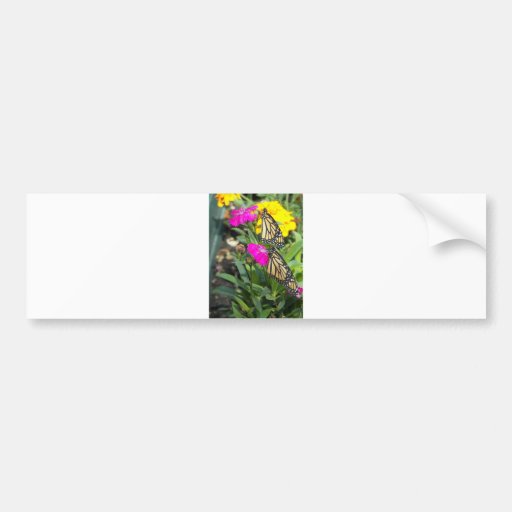 Monarch Twins #2-bumper sticker