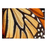 Monarch Wing ~ ATC