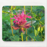 Monarda Mousepad