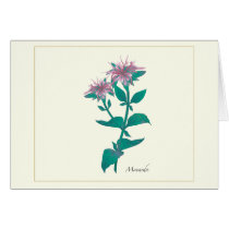 Monarda Wildflower Card