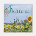 Monarque de tournesol aimants
