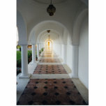 Monastic tranquility photo cut out