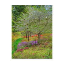 Monet Landscape Postcards