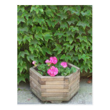 Monet's flowers postcards