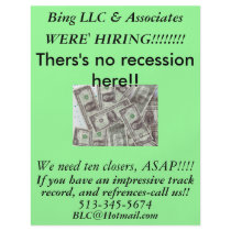 Money Flyer! Business flyer