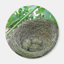 Money Nest Eggs Refrigerator Magnets