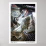 Money Wash
