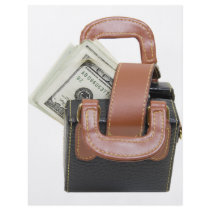 MoneyBag061509