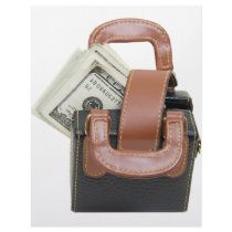 MoneyBag061509