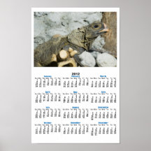 Monitor Lizard Poster Calendar