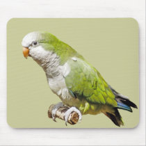 Monk Parakeet mousepads