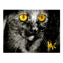 Monkey Cat Postcard