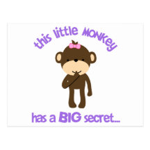 Monkey Has A Secret Big Sister Post Card
