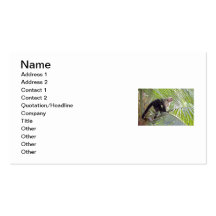 Monkey in Bamboo Jungle Photo Business Card Template