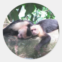 Monkey Love Round Stickers
