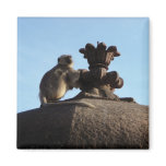 Monkey Magnet