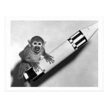 Monkey - NASA - 1950s Postcards