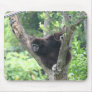 Monkey on tree mouse mat
