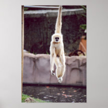 Monkey Print
