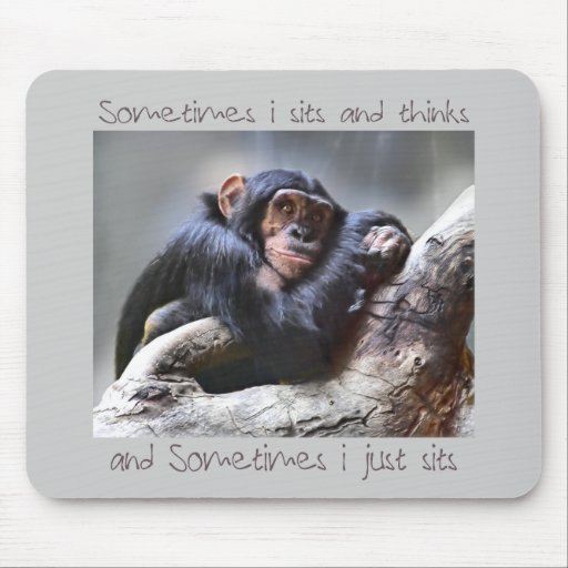 Monkey Sits Mouse Pad