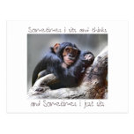 Monkey Sits Post Cards