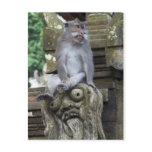Monkey sitting at a statue in Bali