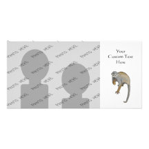Monkey that is Eating. Photo Cards