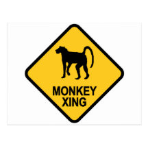 Monkey Xing Post Cards