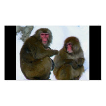 Monkeys in Hokkaido, Japan Business Card