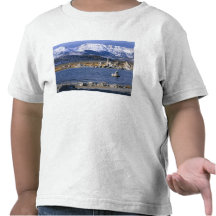 MONO LAKE TUFA STATE NATURAL RESERVE, T SHIRTS