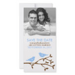 Monogrammed Love Birds Save the Date Photocards