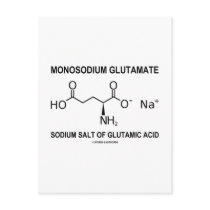 Monosodium Glutamate Sodium Salt Of Glutamic Acid