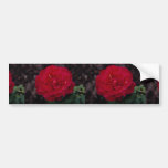 Monsieur Lincoln'de beau rose de thé hybride ' Adhésif Pour Voiture