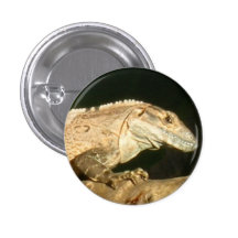 Monsta Pinback Button